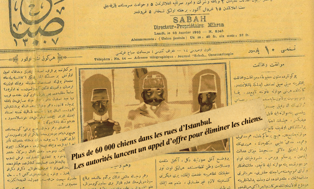 母狗的故事剧照的剧照