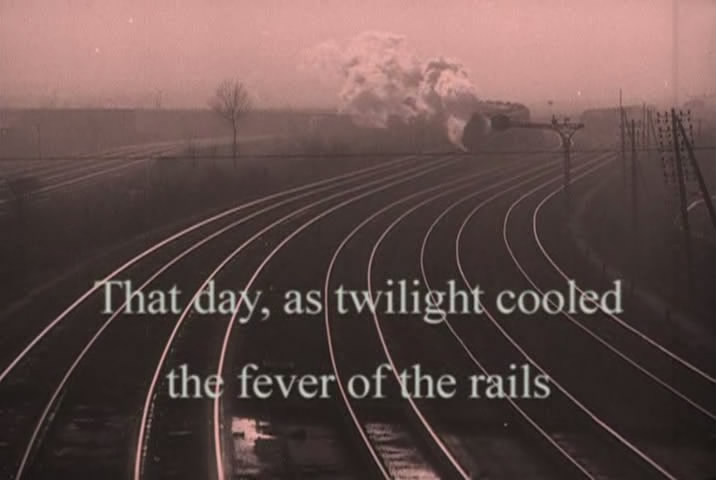 铁路的白蔷薇剧照的剧照