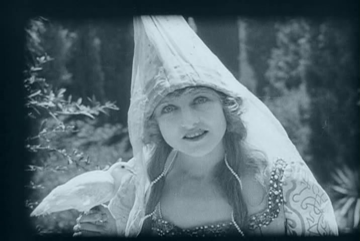 铁路的白蔷薇剧照的剧照