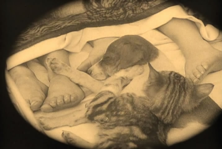 铁路的白蔷薇剧照的剧照