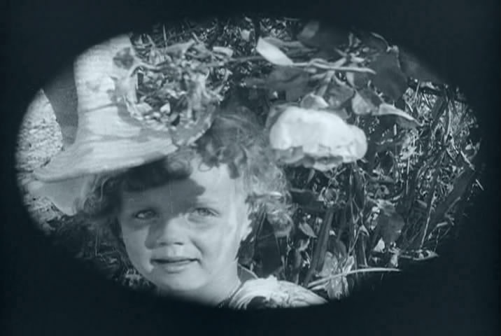 铁路的白蔷薇剧照的剧照