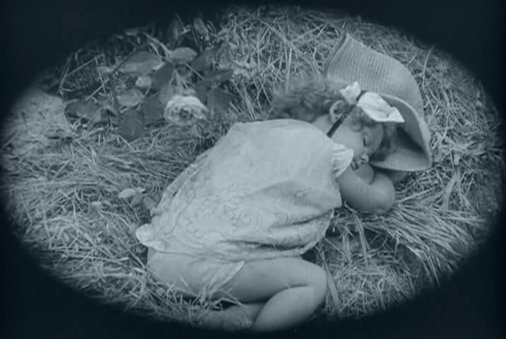 铁路的白蔷薇剧照的剧照