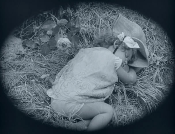 铁路的白蔷薇剧照的剧照