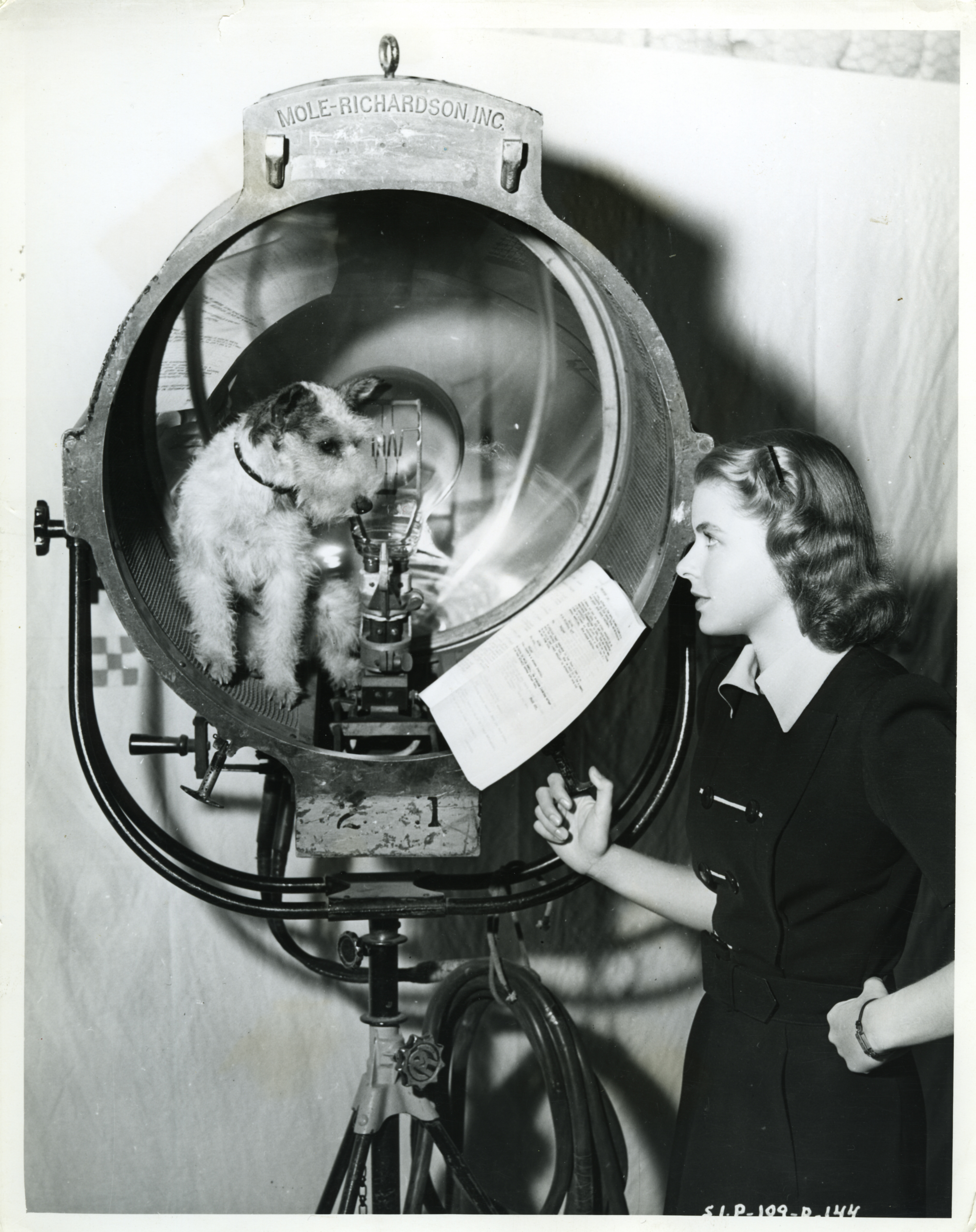 寒夜琴挑剧照的剧照