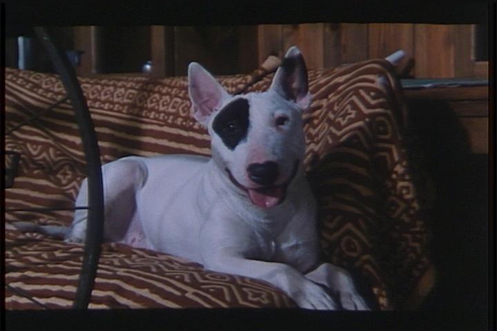 漫画王剧照的剧照