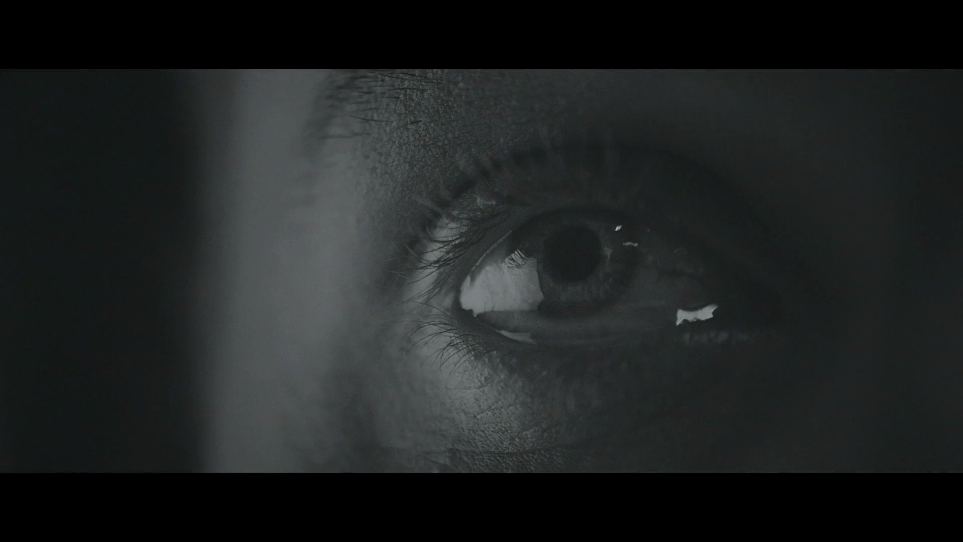 小鹿剧照的剧照