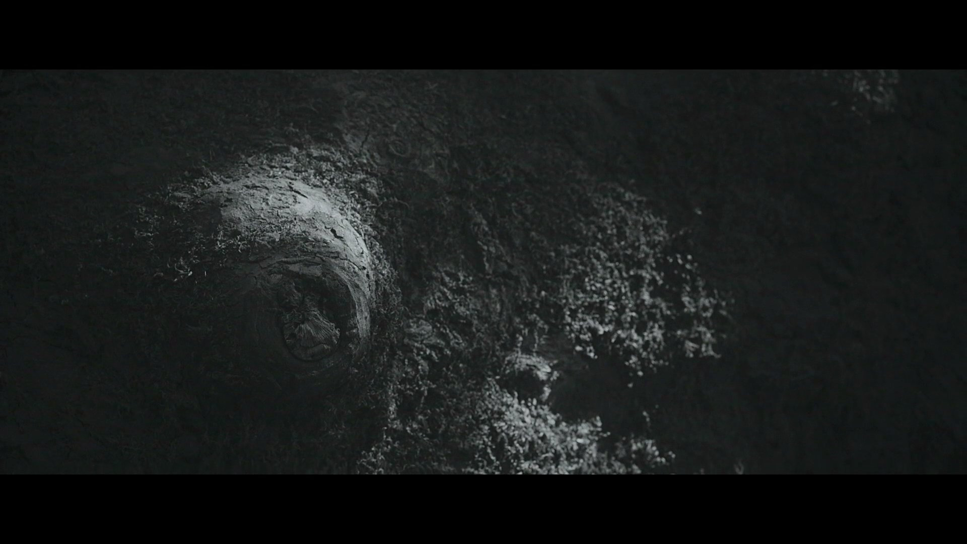 小鹿剧照的剧照