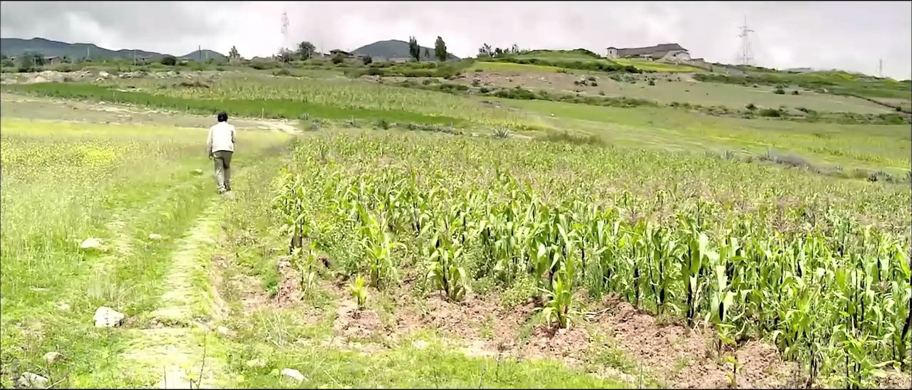 山鹰之歌剧照的剧照