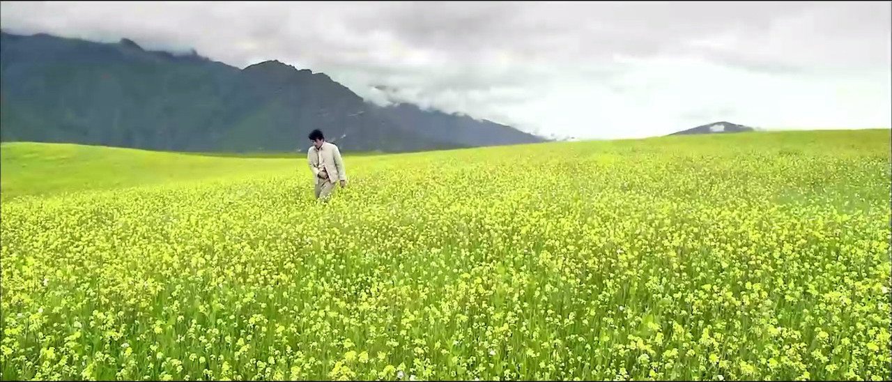 山鹰之歌剧照的剧照