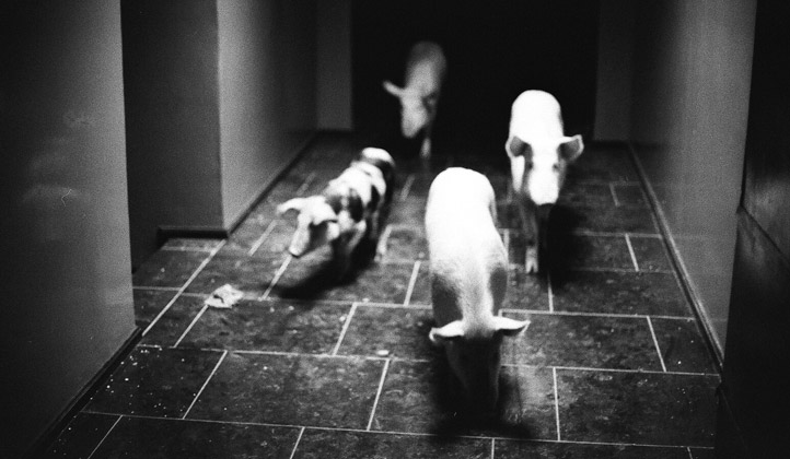 列夫·朗道剧照的剧照