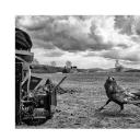 被涂污的鸟剧照