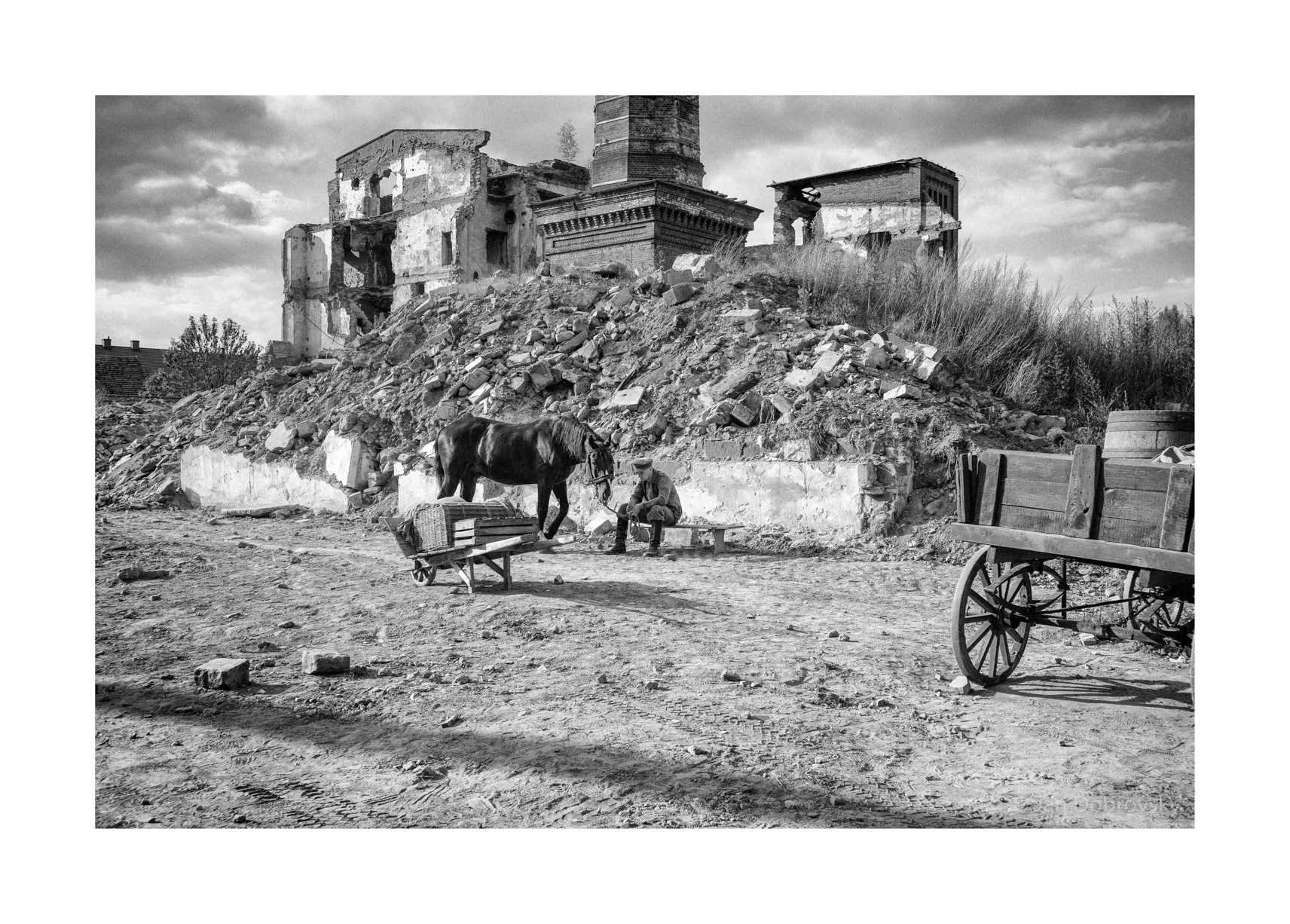 被涂污的鸟剧照的剧照