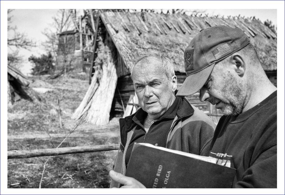 被涂污的鸟剧照的剧照