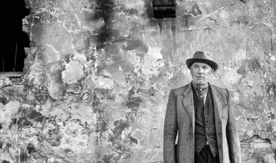 被涂污的鸟剧照的剧照