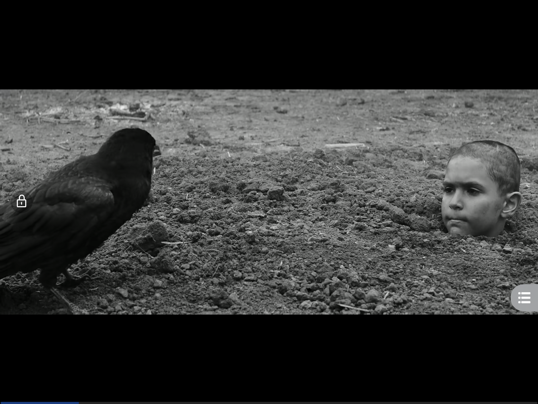 被涂污的鸟剧照的剧照