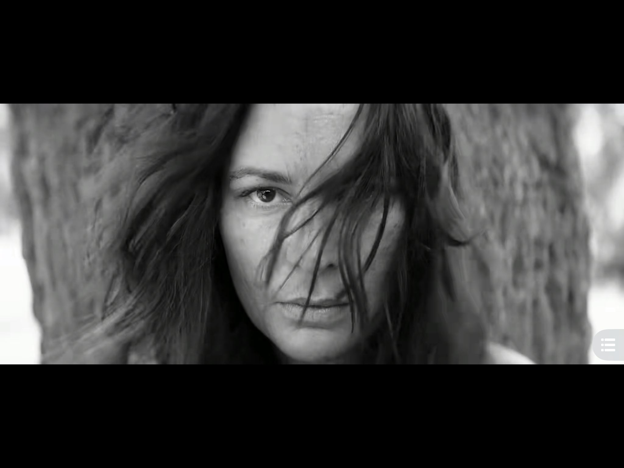 被涂污的鸟剧照的剧照