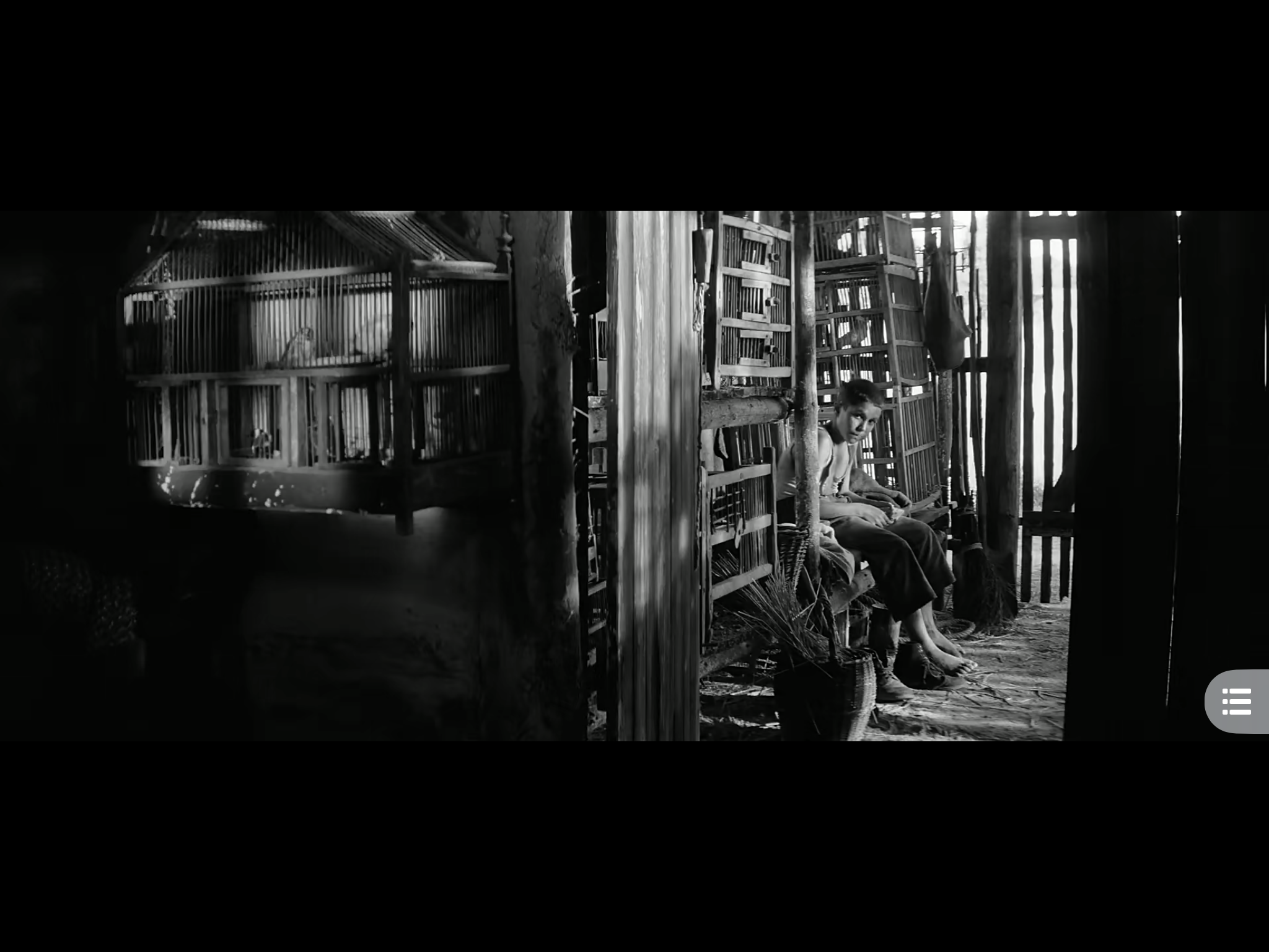 被涂污的鸟剧照的剧照