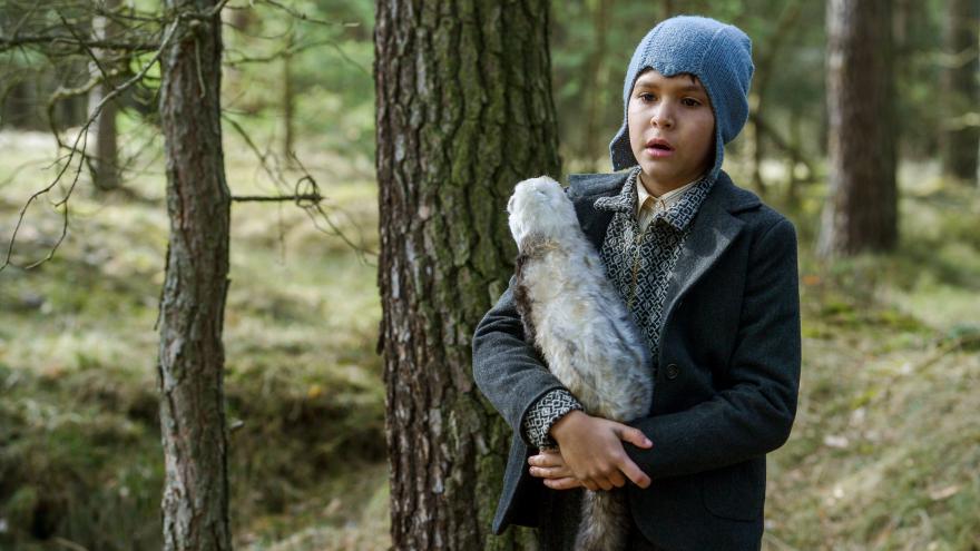 被涂污的鸟剧照的剧照