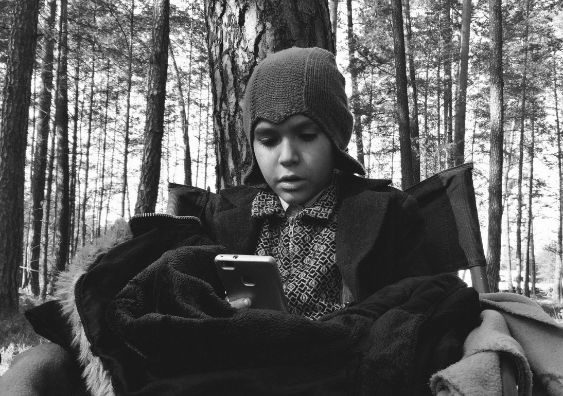 被涂污的鸟剧照的剧照