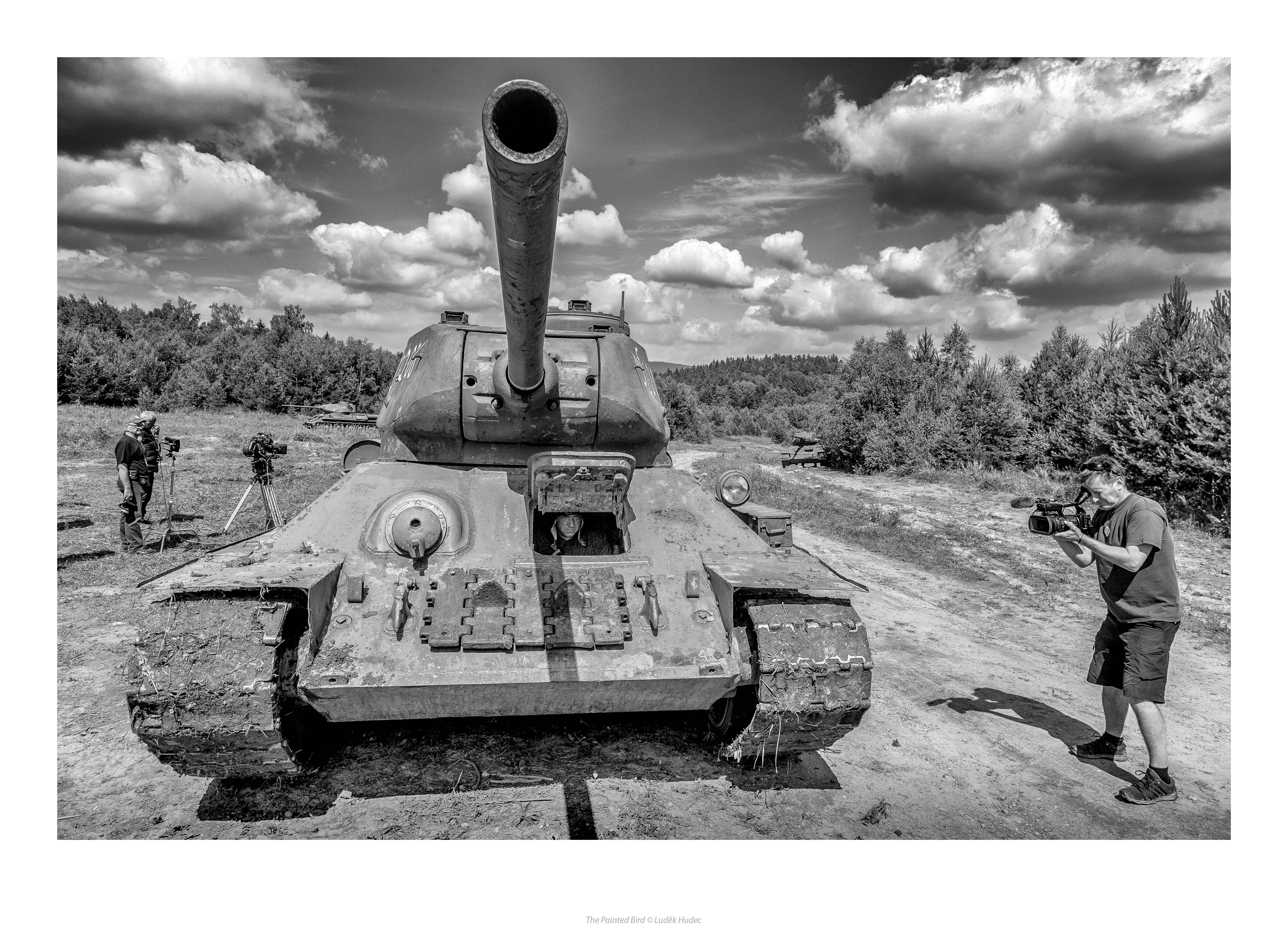 被涂污的鸟剧照的剧照