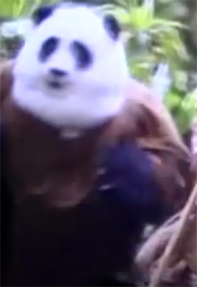 西游记之大闹天宫剧照的剧照