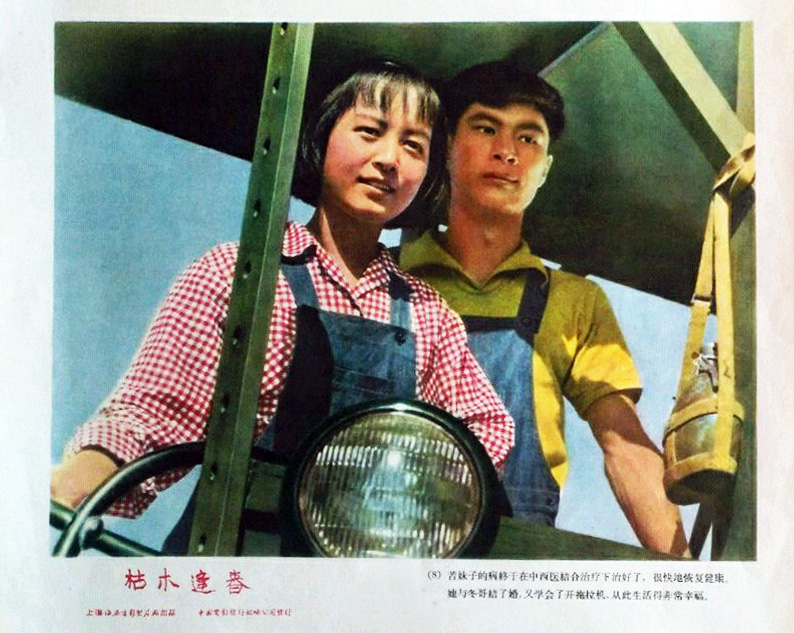 枯木逢春剧照的剧照