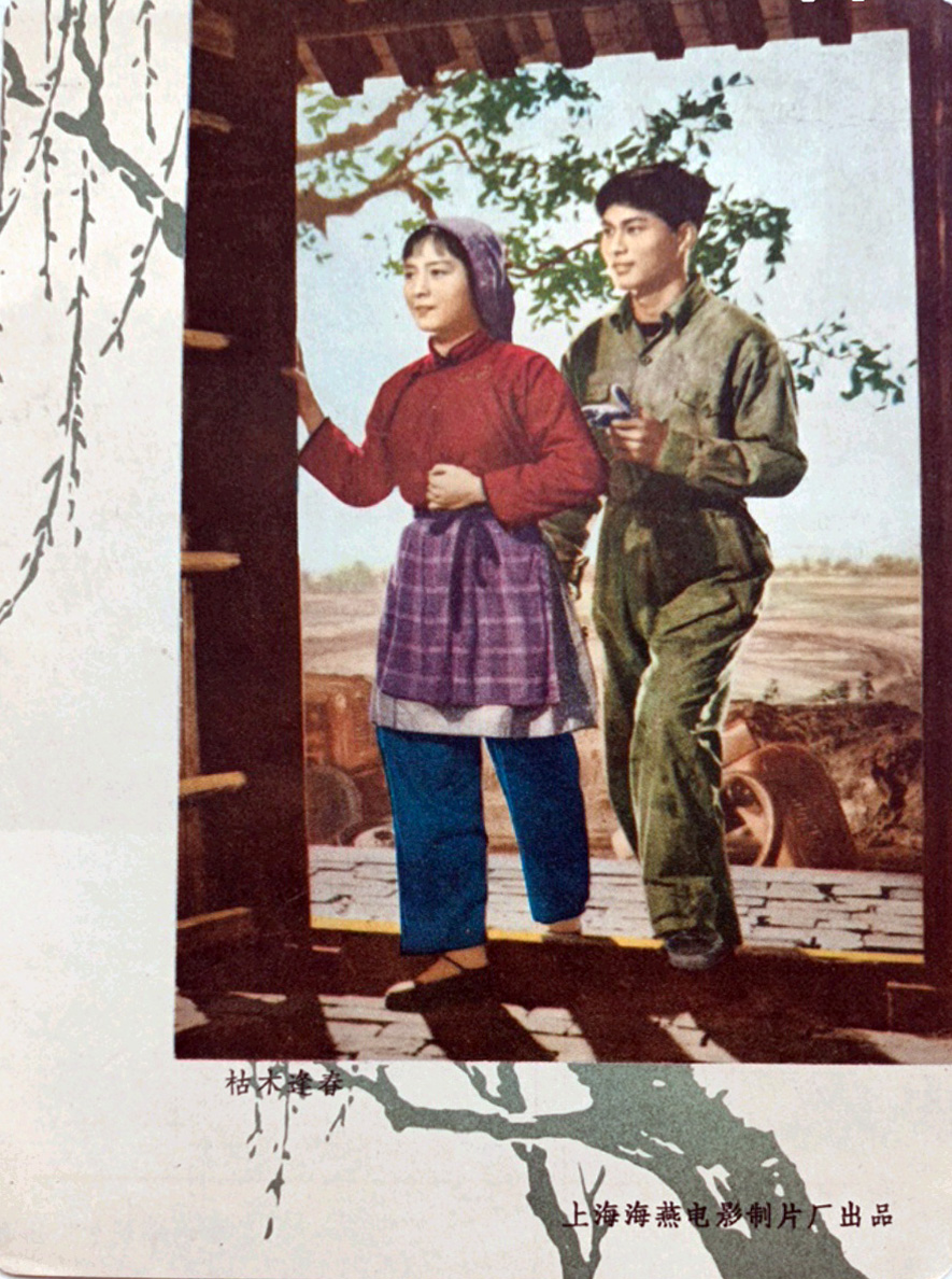 枯木逢春剧照的剧照