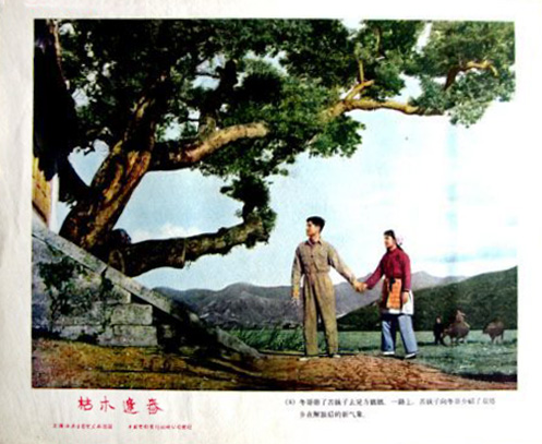 枯木逢春剧照的剧照