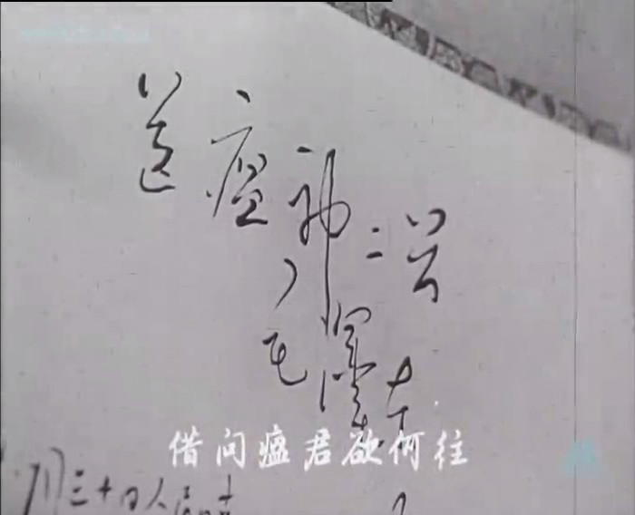 枯木逢春剧照的剧照