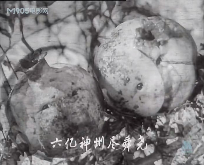 枯木逢春剧照的剧照