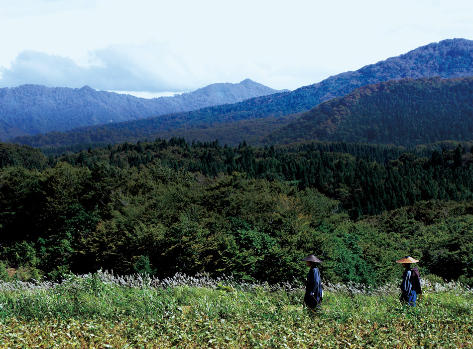 小川之边剧照的剧照