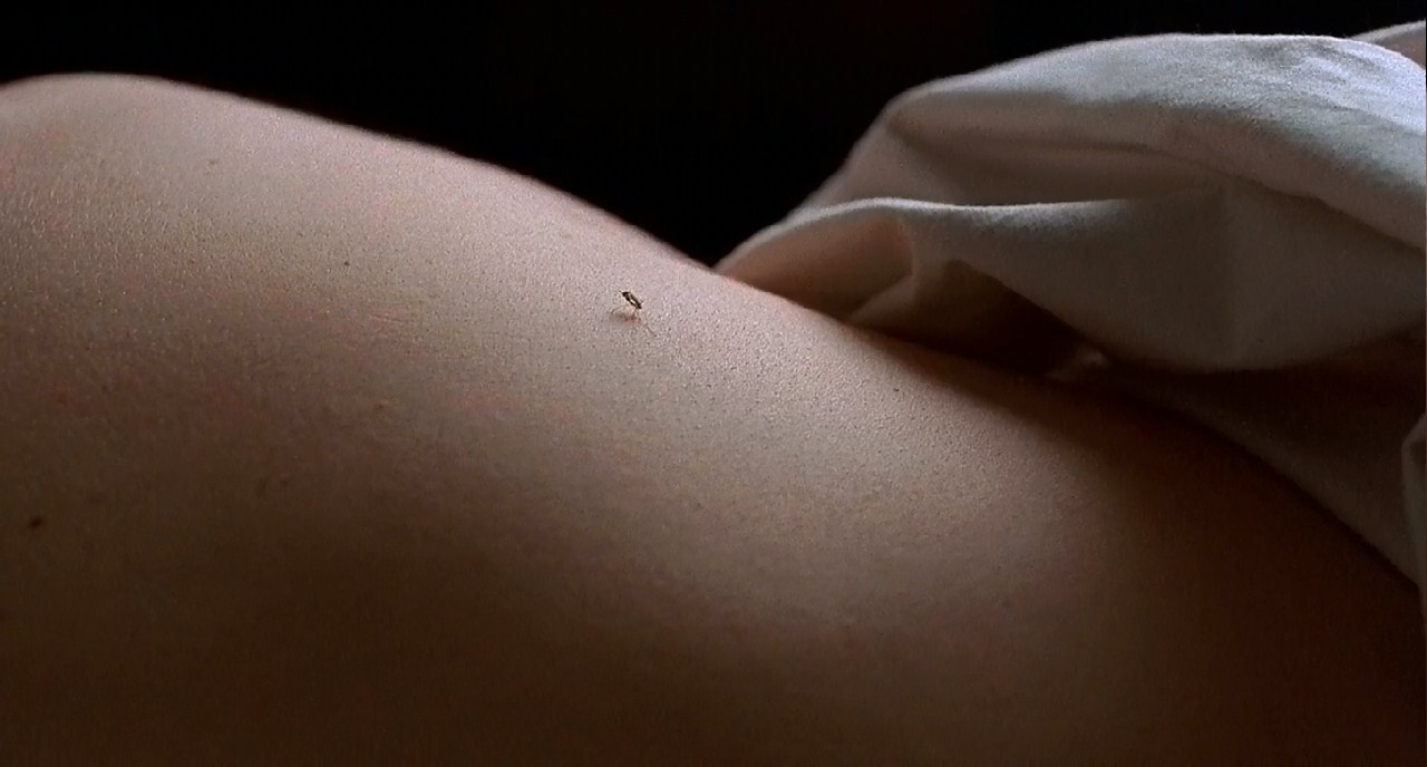 巴顿·芬克剧照的剧照