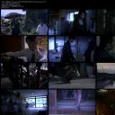 贝壳般的心剧照