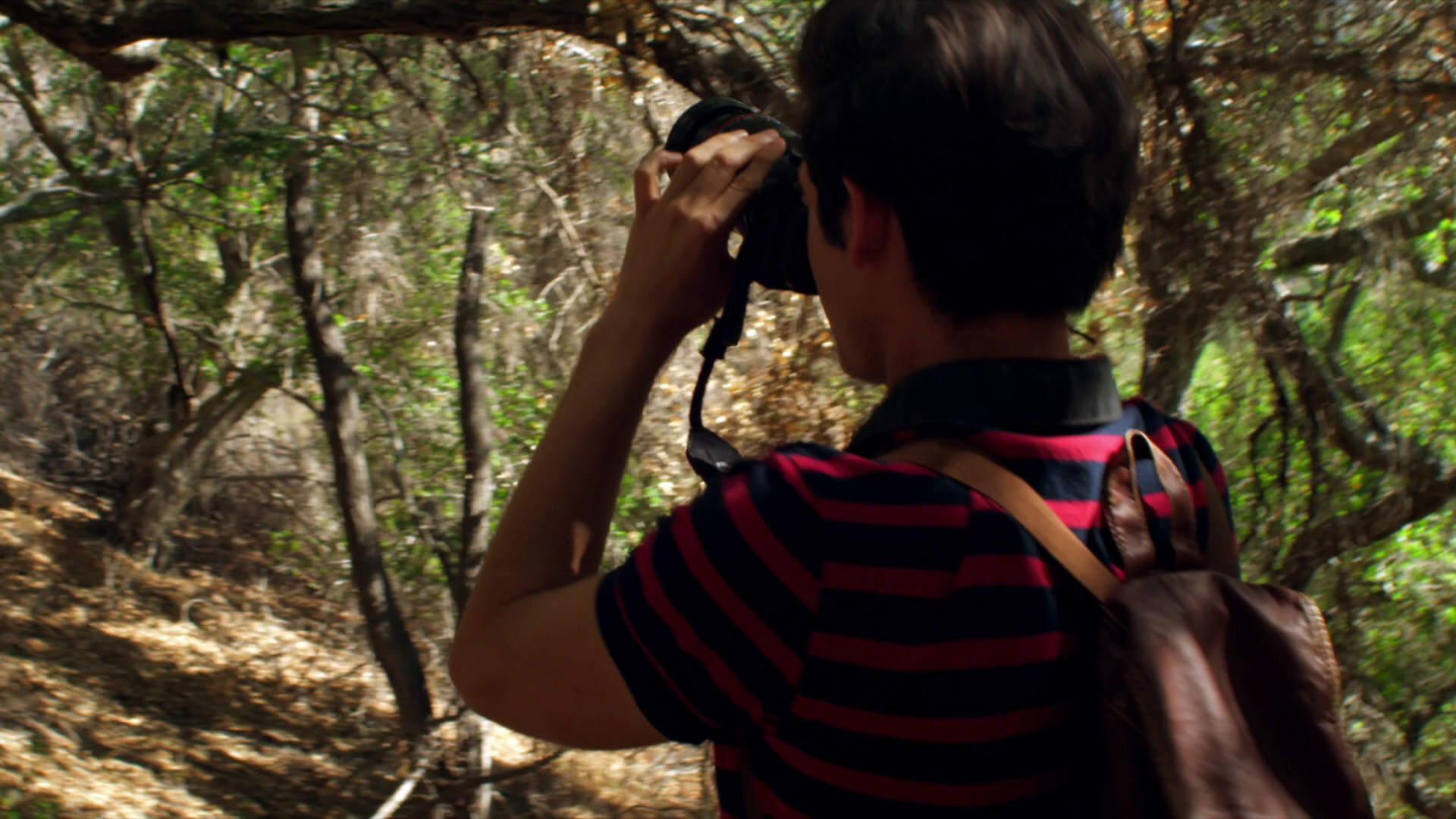 群斗剧照的剧照