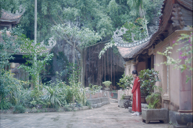 落红剧照的剧照