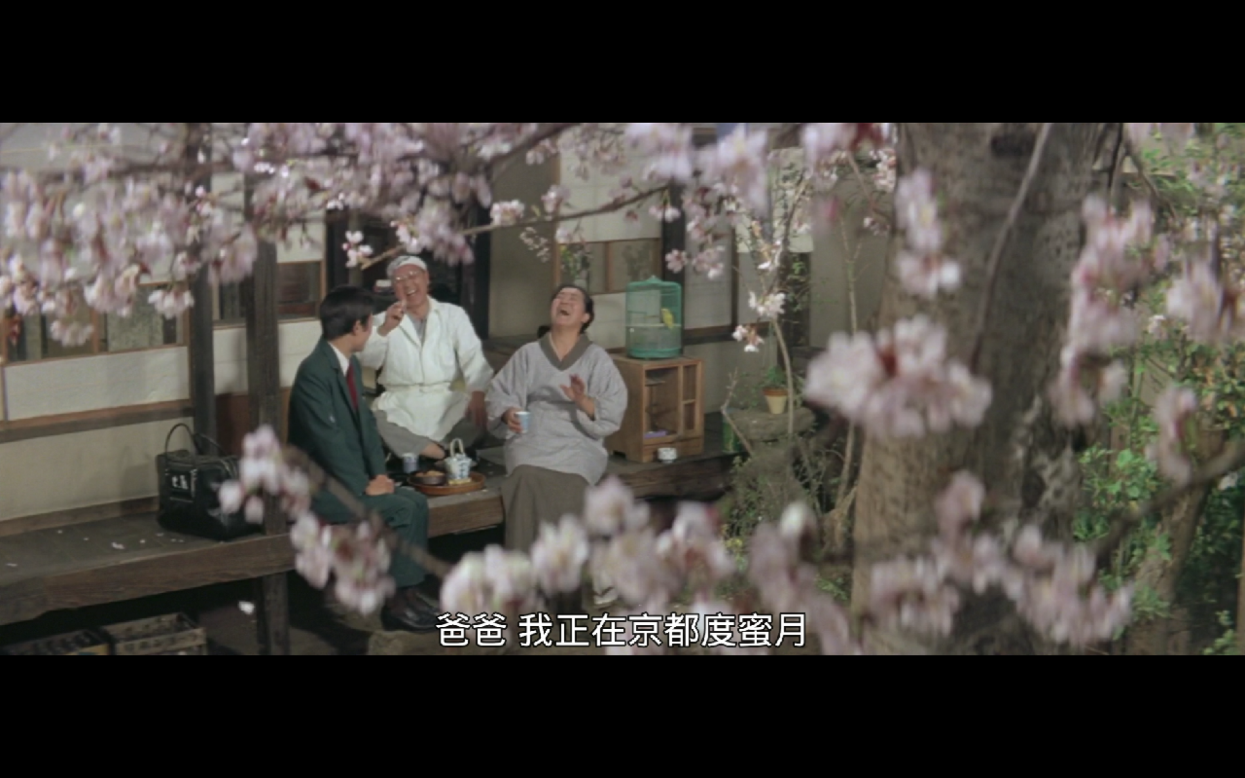 寅次郎的故事2：我爱我阿妈剧照的剧照