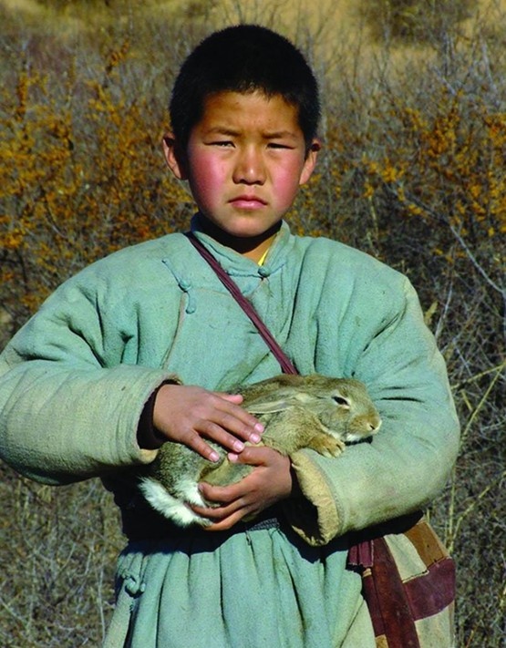 斯琴杭茹剧照的剧照