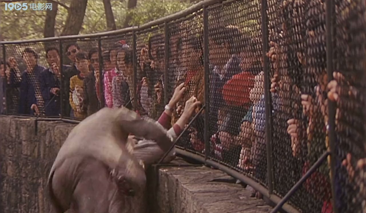 多此一女剧照的剧照