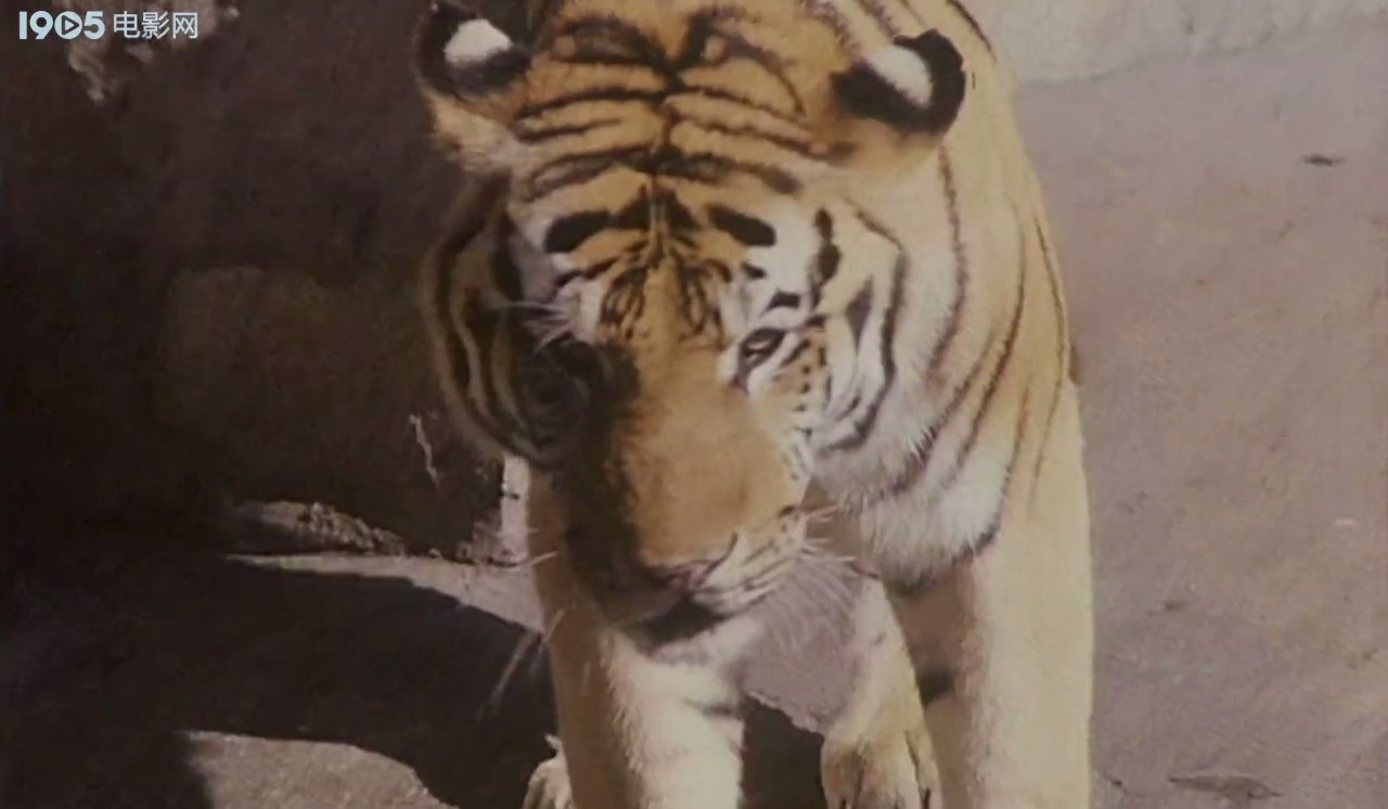 多此一女剧照的剧照