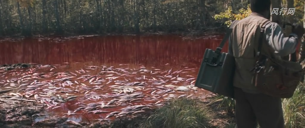 致命报应剧照的剧照