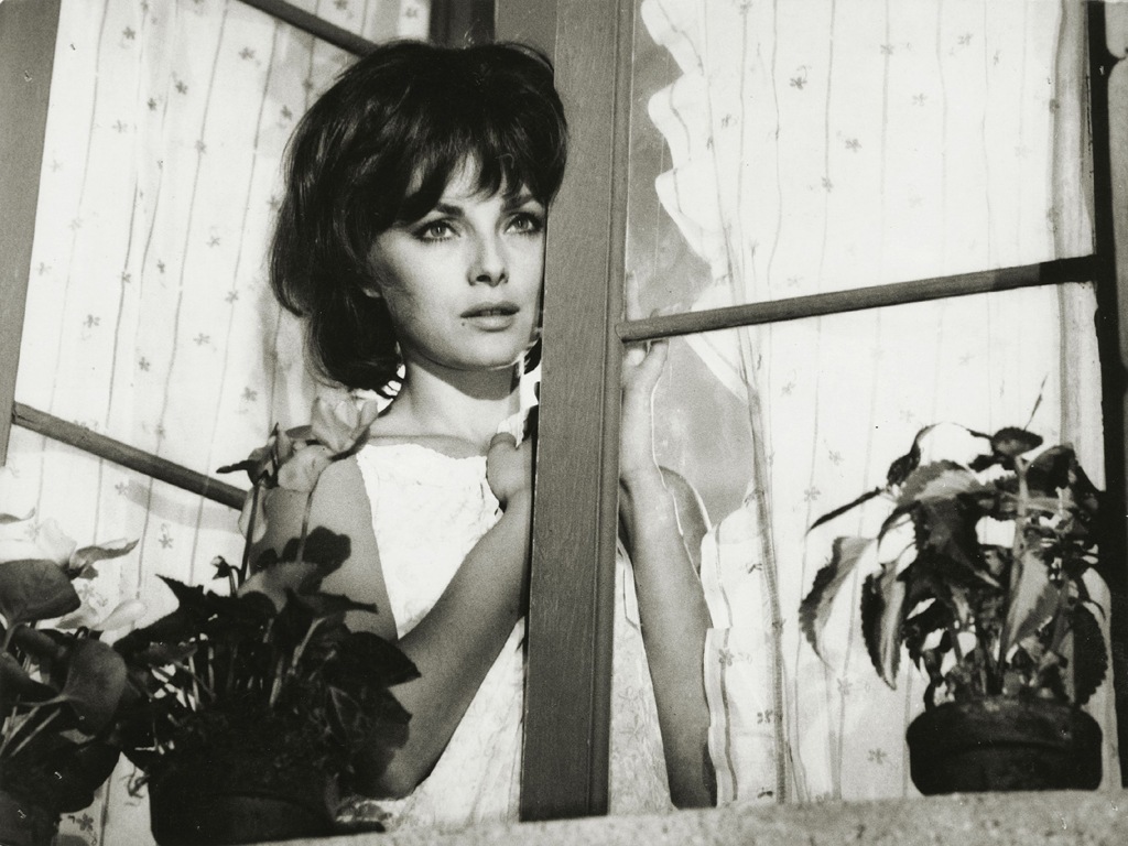 绅士现形记剧照的剧照