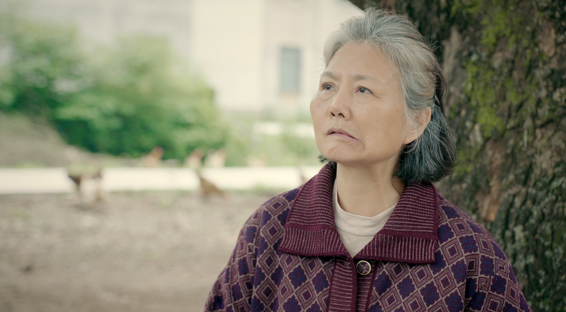 三年剧照的剧照