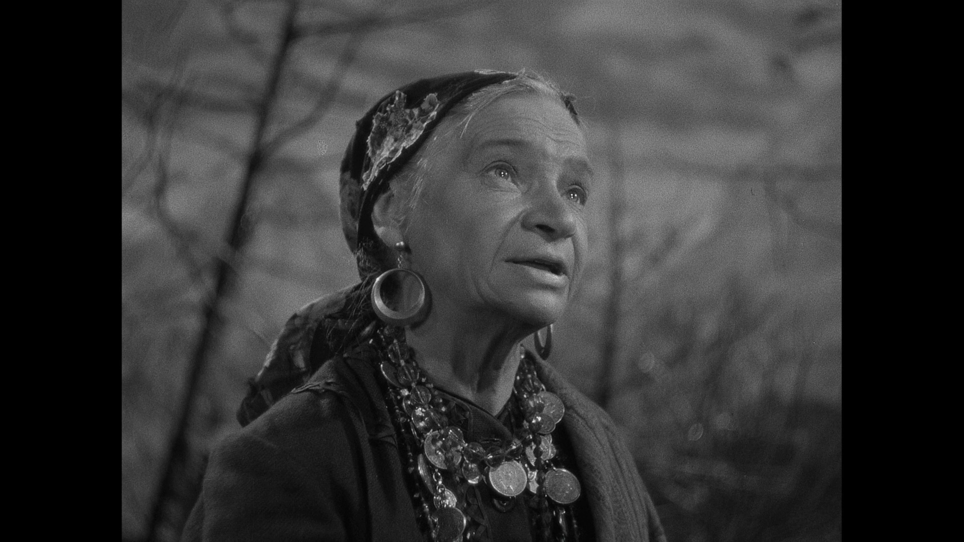 科学怪人大战狼人剧照的剧照