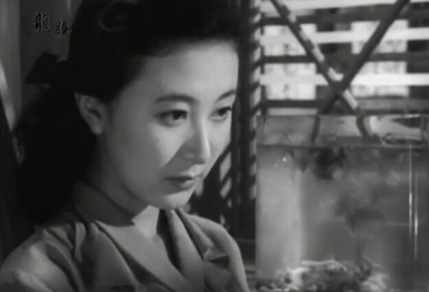 请问芳名 第一部剧照的剧照