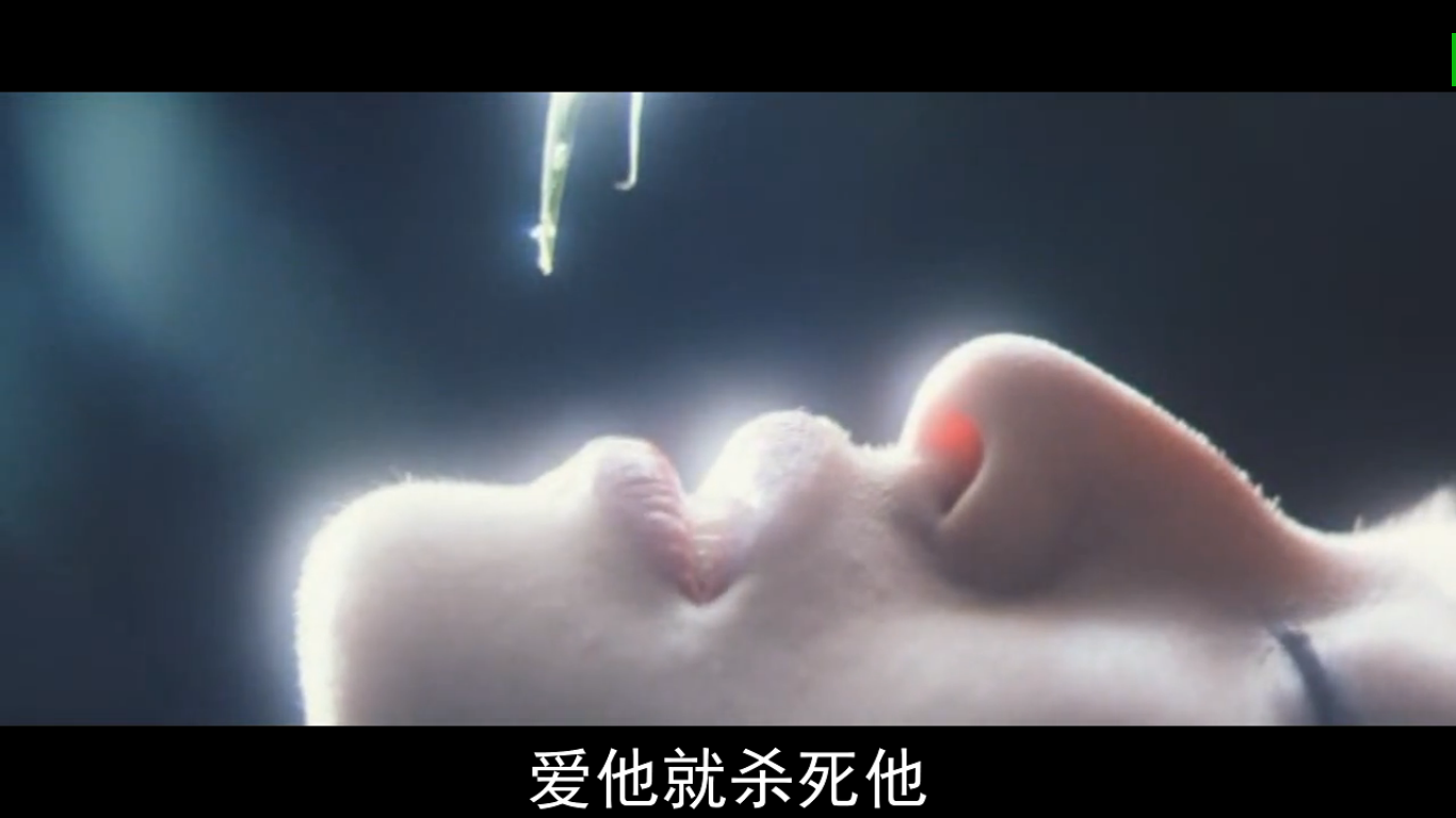 迷雾剧照的剧照