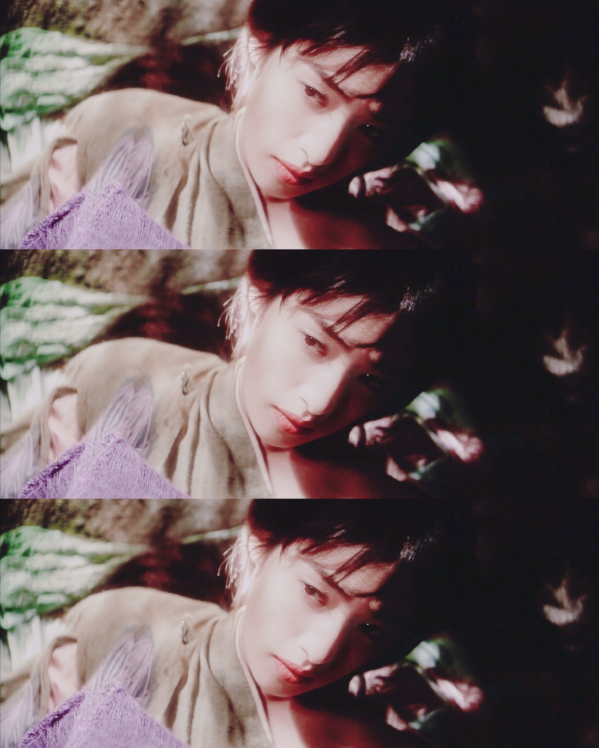 迷雾剧照的剧照