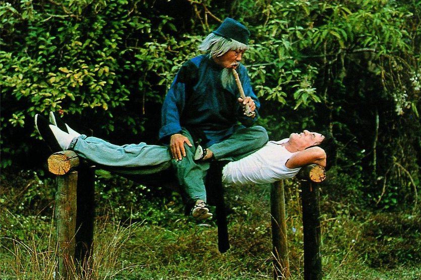 蛇形刁手剧照的剧照