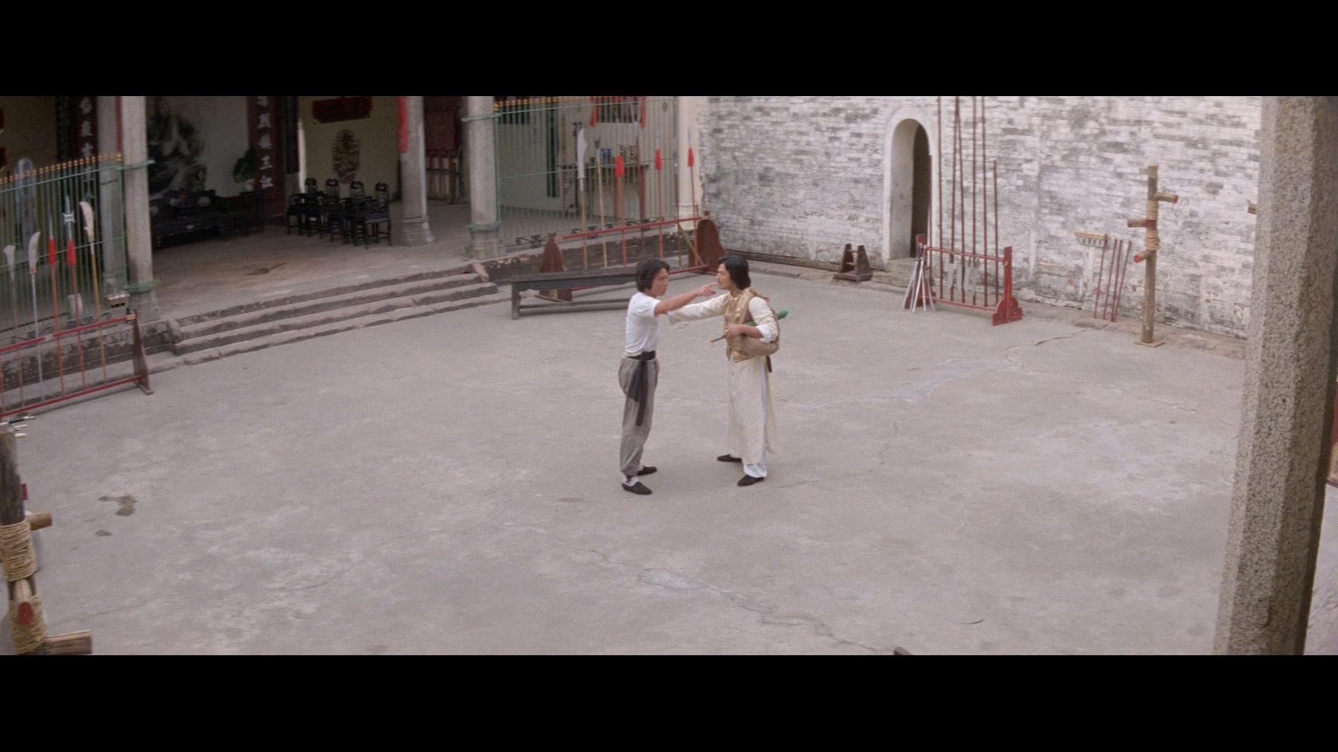 蛇形刁手剧照的剧照