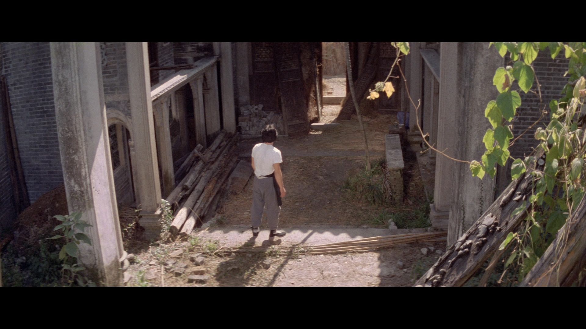 蛇形刁手剧照的剧照