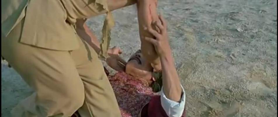 蛇形刁手剧照的剧照